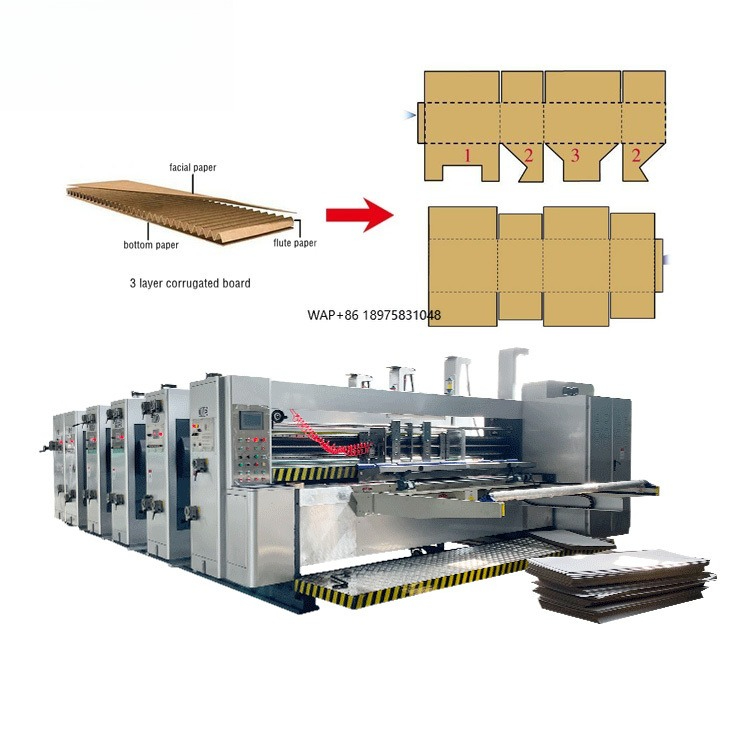 Die Cutting Machine - Machine automatique de fabrication d'emballages en